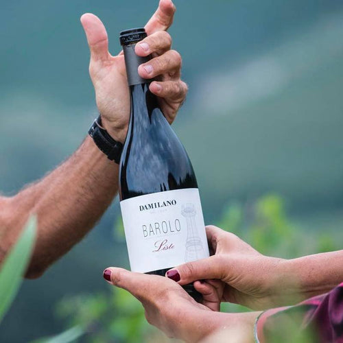 Liste Barolo Docg 2018 Damilano Azienda Agricola