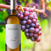 Vini Del Geso Trentino Doc 2022 Cantina Mori Colli Zugna