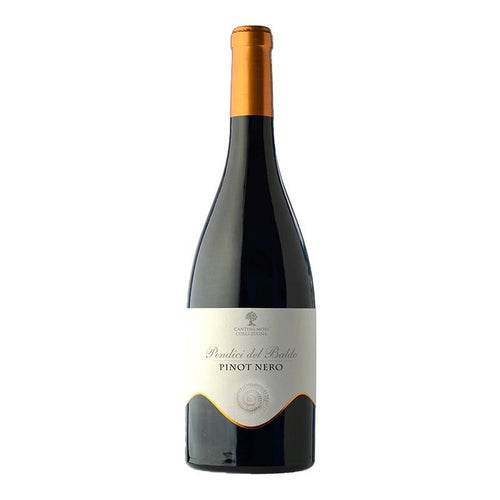 Pendici Del Baldo Trentino Doc 2020 Cantina Mori Colli Zugna