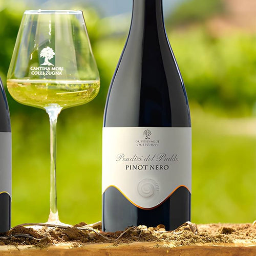 Pendici Del Baldo Trentino Doc 2020 Cantina Mori Colli Zugna
