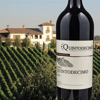 Vigna Quintodecimo Taurasi Docg Riserva 2018 Cantina Quintodecimo
