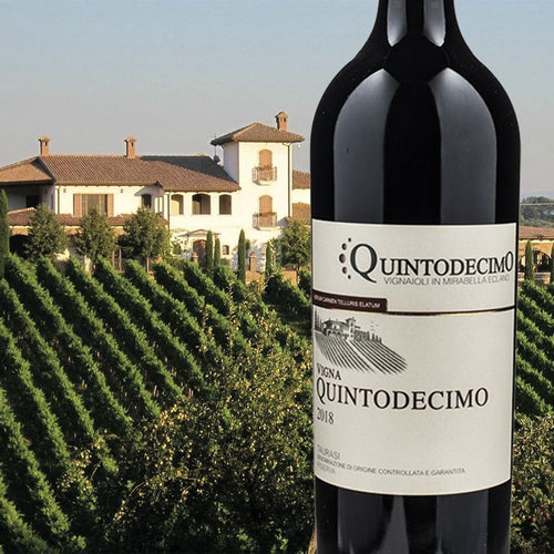 Vigna Quintodecimo Taurasi Docg Riserva 2018 Cantina Quintodecimo