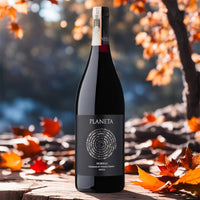 Dorilli Cerasuolo Di Vittoria Docg 2018 Cantina Planeta