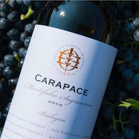 Carapace Montefalco Sagrantino Docg 2019 Tenute Lunelli