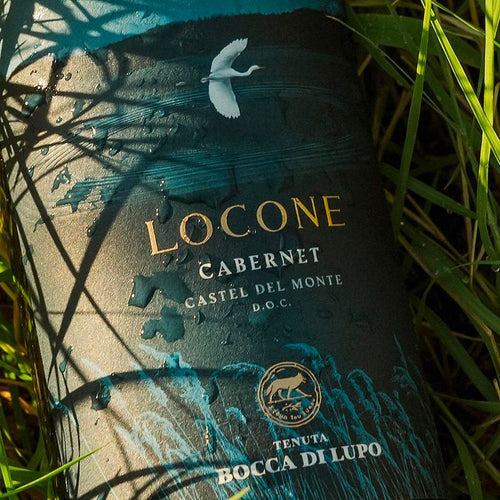 Locone Castel Del Monte Doc 2021 Cantine Marchesi Antinori