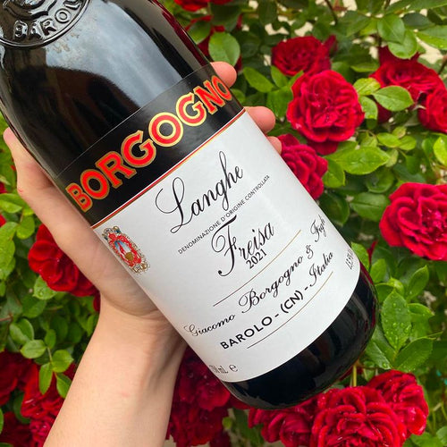 Freisa Langhe Doc 2021 Borgogno