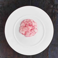 25 Cm Lioness Florence Piatto Fondo In Porcellana Set 4 Pz