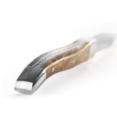 22 5 Cm Comas Denali Coltello Bistecca In Acciaio Inox Set 6 Pz
