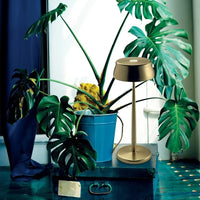 33 Cm Zafferano Sister Light Lampada Da Tavolo