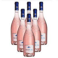 Tormaresca Salento Igt 2023 Cantina Tormaresca Set 6 Bottiglie 6 Calici