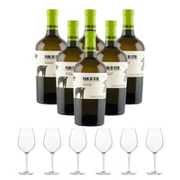 Pian Di Stio Paestum Igp 2022 Cantina San Salvatore 1988 Set 6 Bottiglie 6 Calici