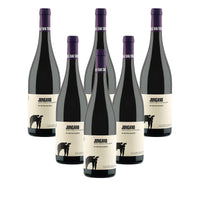 Jungano Paestum Igp 2020 Cantina San Salvatore 1988