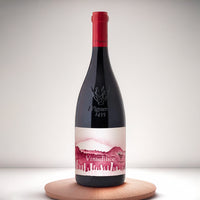 Vinudilice Etna Doc 2023 I Vigneri Di Salvo Foti