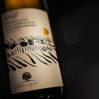 Ario Conegliano Valdobbiadene Prosecco Superiore Docg 2022 L Antica Quercia
