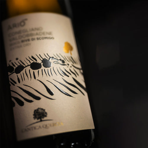 Ario Conegliano Valdobbiadene Prosecco Superiore Docg 2022 L Antica Quercia
