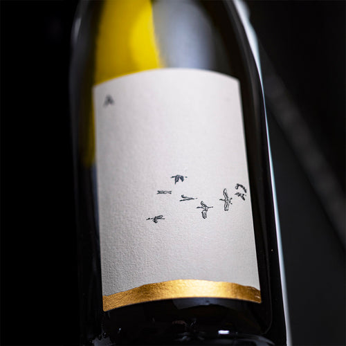 A Sui Livieti Conegliano Valdobbiadene Prosecco Superiore Docg 2022 L Antica Quercia