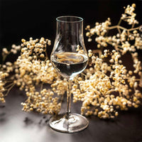 20 Cl Riedel Aquavit Calice Grappa In Vetro Set 4 Pezzi