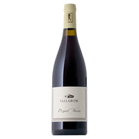 Pinot Noir Vallagarina IGT 2022 Bio Azienda Agricola Vallarom