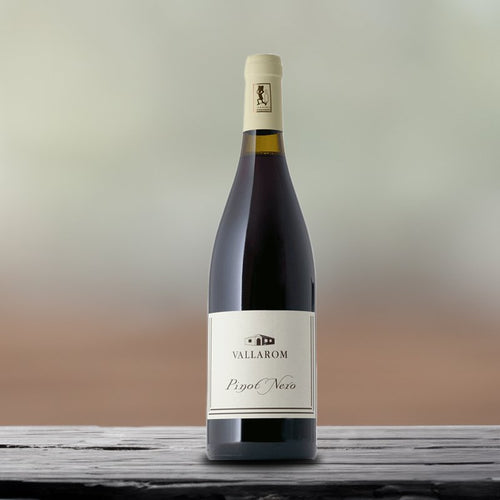 Pinot Noir Vallagarina IGT 2022 Bio Azienda Agricola Vallarom