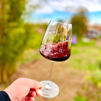 Carpineto Brunello Di Montalcino Docg 2019 Carpineto Set 2 Calici Italesse T Made 70 Cl