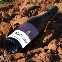 Monte Calvo Maremma Toscana Doc 2022 Sassotondo