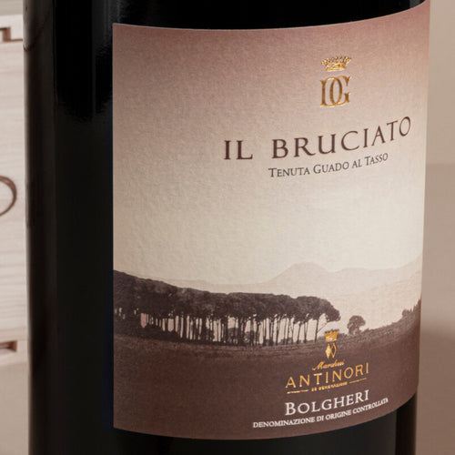 Il Bruciato Bolgheri Doc 2023 Cantine Marchesi Antinori