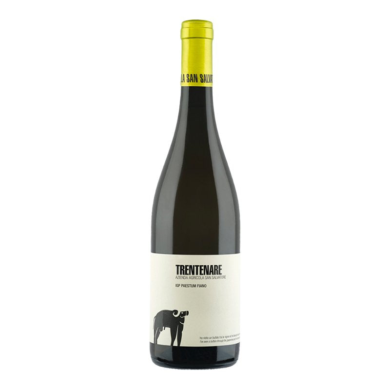 Trentenare Fiano Paestum IGP 2024 Cantina San Salvatore 1988