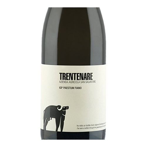 Trentenare Fiano Paestum IGP 2024 Cantina San Salvatore 1988