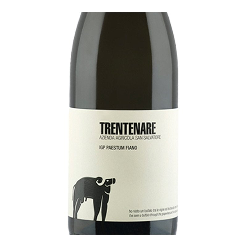 Trentenare Fiano Paestum IGP 2024 Cantina San Salvatore 1988