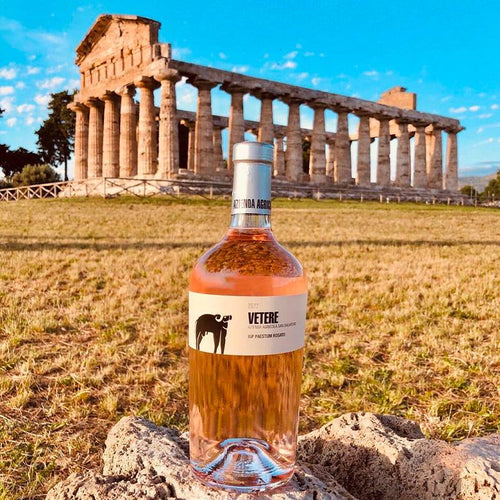 Vetere Rotato Paestum Igp 2024 Cantina San Salvatore 1988