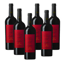 Pian Delle Vigne Red Wine of Montalcino DOC 2023 Cantine Marchesi Antinori