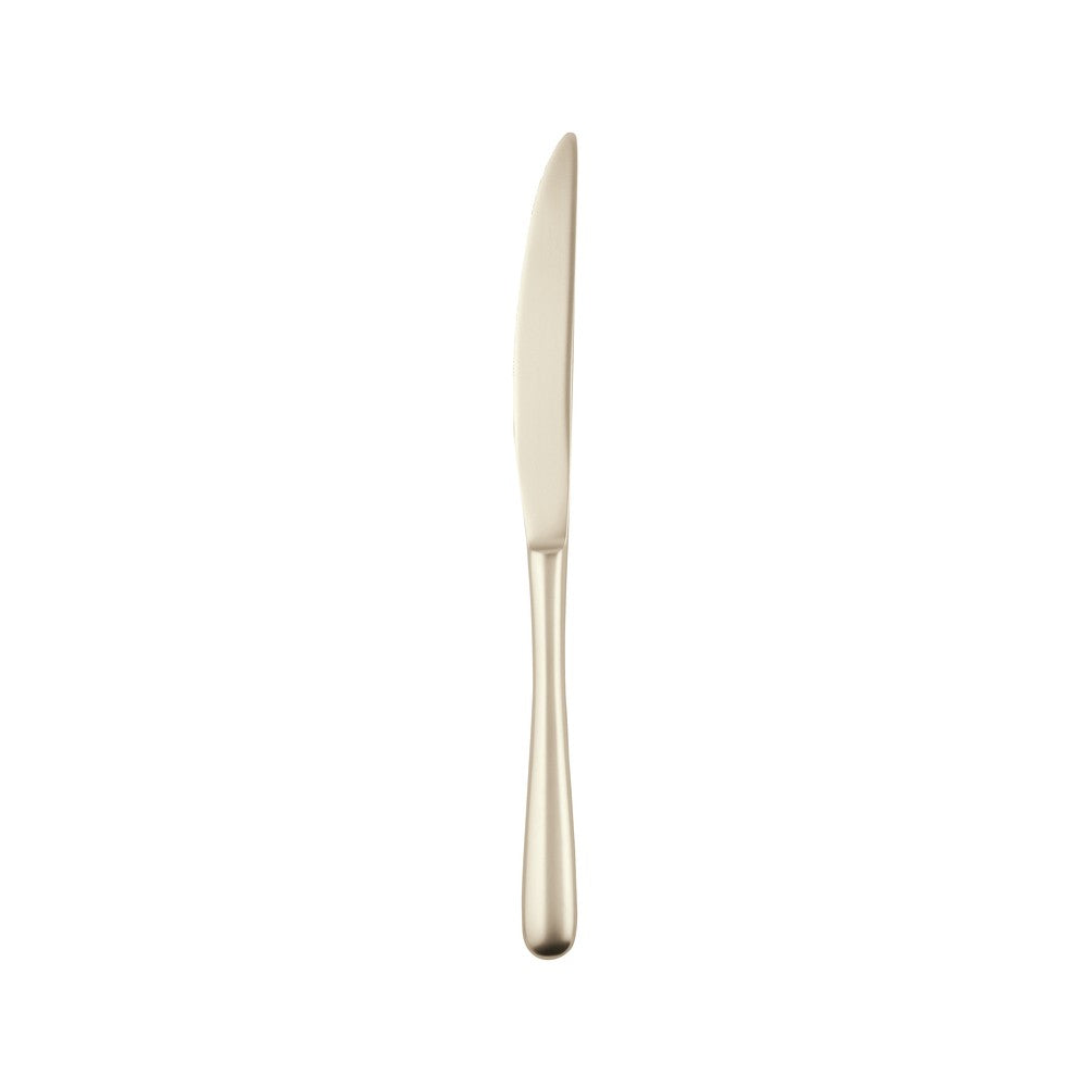 Sambonet Taste Coltello Tavola In Acciaio Inox