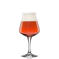 33 Cl Rastal Miniteku Calice Birra In Vetro Set 6 Pezzi