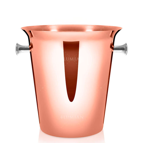 21 X H 22Cm Lumian Dionisio Secchiello Champagne Per 1 Bottiglia In Acciaio Inox