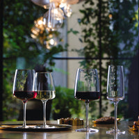 55 5 Cl Bormioli Rocco Nexo Calice Vino Rosso In Vetro Set 6 Pezzi