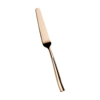 Pintinox Infinito Coltello Pesce In Acciaio Inox Forgiato Set 12 Pz