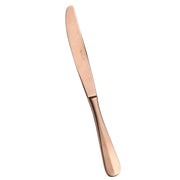 Pintinox Baguette Coltello Tavola In Acciaio Inox Set 12 Pz