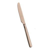Pintinox Casali Coltello Frutta In Acciaio Inox Set 12 Pz