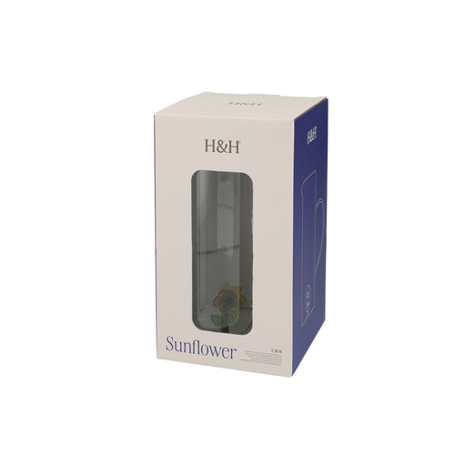 150 cl - H&H Brocca Con Decoro In Vetro Borosilicato