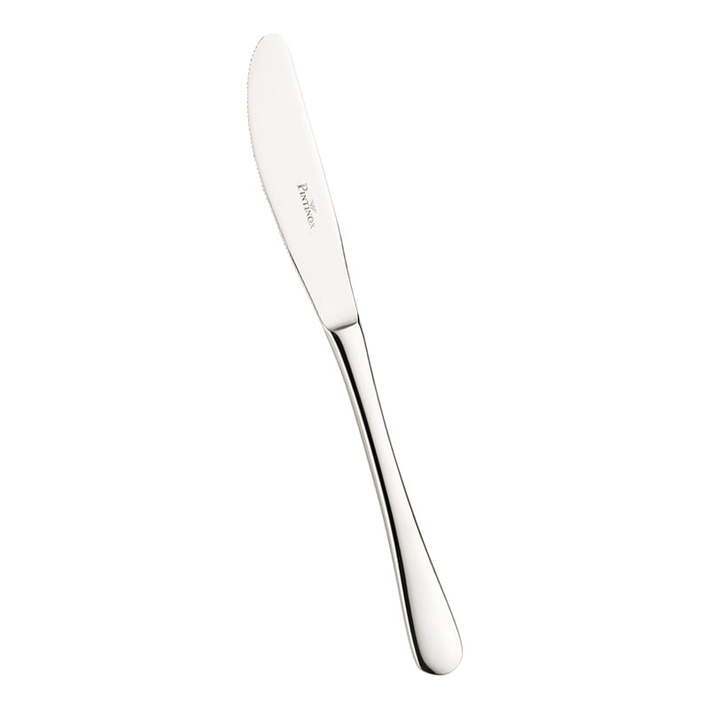 Pintinox Hotel Coltello Tavola In Acciaio Inox Set 12 Pz