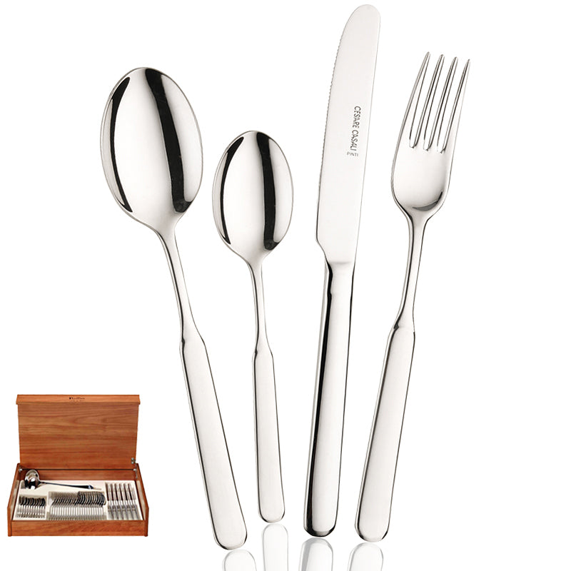 Pintinox Casali Servizio Posate In Acciaio Inox Set 49 Pz
