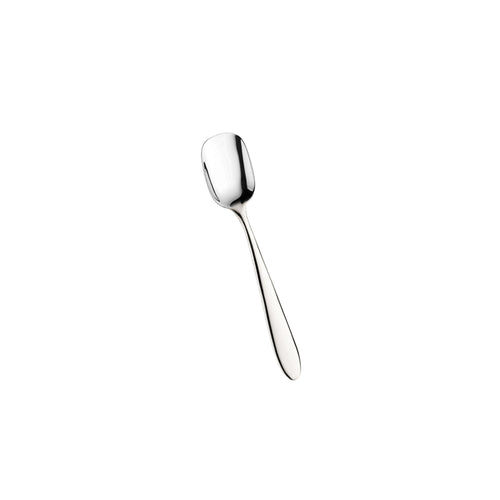 Pintinox Ritz Paletta Gelato In Acciaio Inox Set 12 Pz