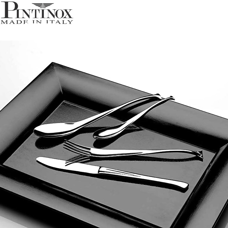 Pintinox Dolphin Cucchiaio Tavola In Acciaio Inox Set 12 Pz