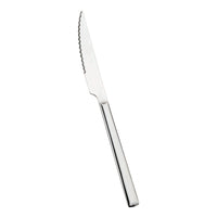 Pintinox Synthesis Coltello Bistecca In Acciaio Inox Set 12 Pz
