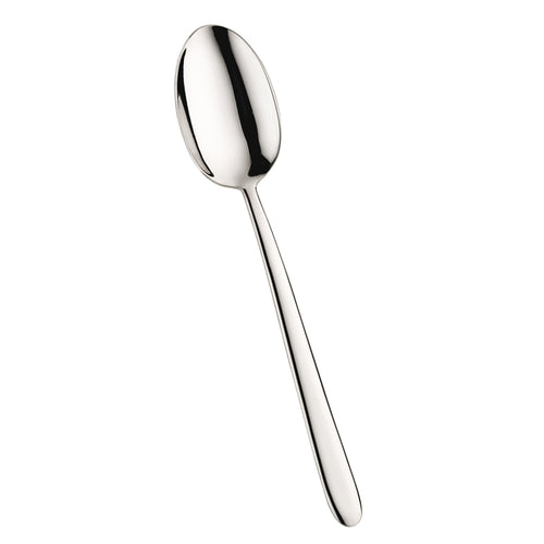 Pintinox Palladium Cucchiaione Servire In Acciaio Inox