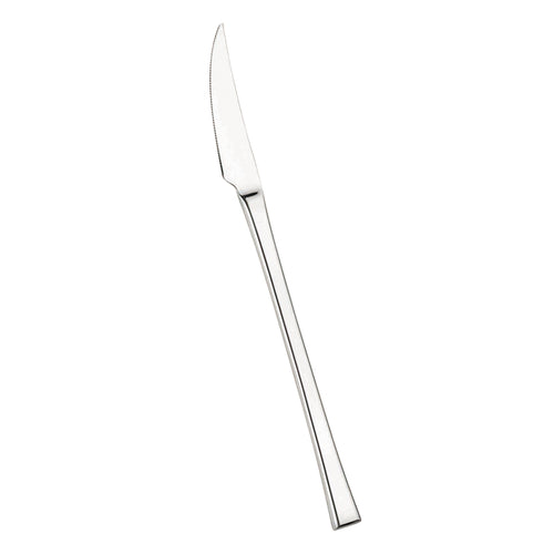 Pintinox Concept Coltello Tavola In Acciaio Inox Set 12 Pz