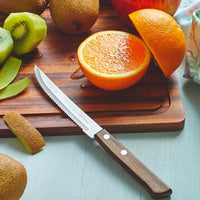 Tramontina Tradicional Coltello Bistecca In Acciaio Inox Poliwood Set 6 Pz