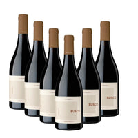 Susco Salento Igt 2020 Cantine San Marzano
