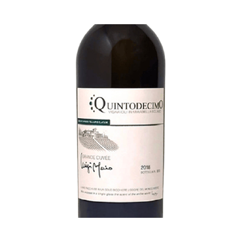 Luigi Moio Grande Cuvee Irpinia Doc 2019 Cantina Quintodecimo