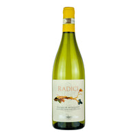 Radici Fiano Di Avellino Docg 2022 Cantine Mastroberardino